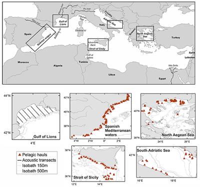 Habitat Suitability Modeling to Identify the Potential Nursery Grounds of the Atlantic Mackerel and Its Relation to Oceanographic Conditions in the Mediterranean Sea